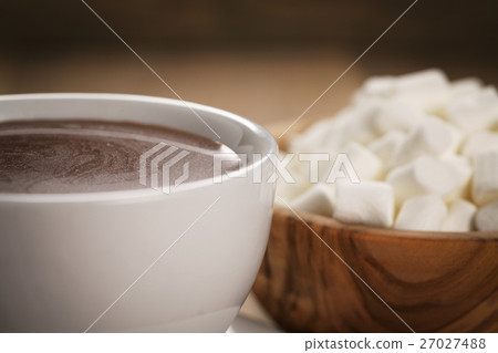 hot chocolate in cappuccino cup with marshmallows on wood table hot chocolate in cappuccino cup with marshmallows on wood table 27027488