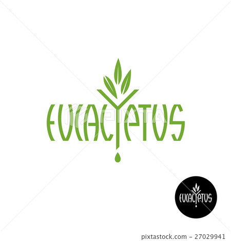 Eucalyptus word logo with leaves, drop and funnel. Eucalyptus word logo with leaves, drop and funnel. 27029941