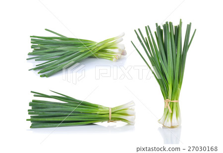 Green Onion on white background 27030168