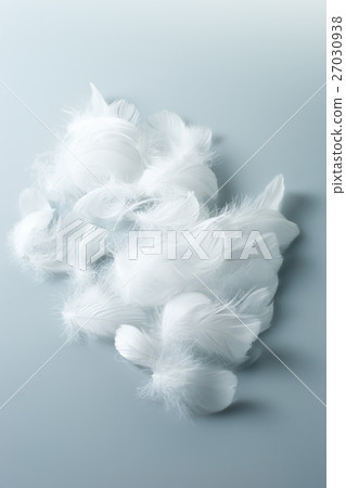 Feathers 27030938