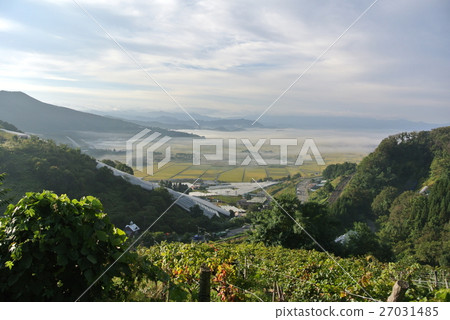 A morning haze-giving depression basin 27031485