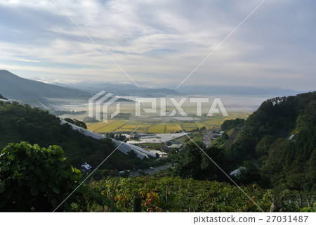 A morning haze-giving depression basin 27031487