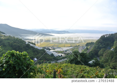 A morning haze-giving depression basin 27031488