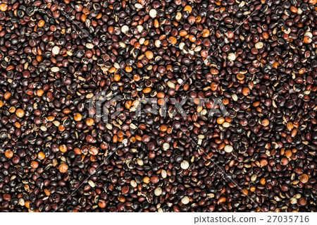 Black quinoa seeds Black quinoa seeds 27035716