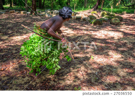 Vedda man hunting 27036550
