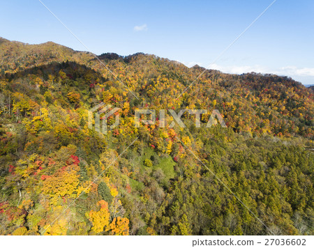 Beautiful pass in autumn (aerial photograph) Beautiful pass in autumn (aerial photograph) 27036602