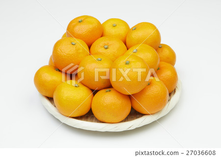 Odama橘子 27036608