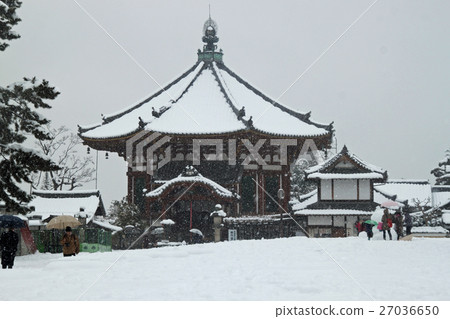 I took a walk in the snow-covered Nara park. 27036650