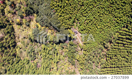 Aerial Views of Jeju Aerial Views of Jeju 27037899