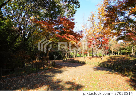 Late Autumn Park Late Autumn Park 27038514