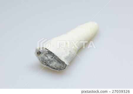 A stalactite 27039326