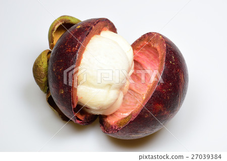 Mangosteen 27039384