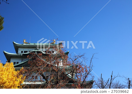 [Autumn clear castle tower of Nagoya Castle] 27039662