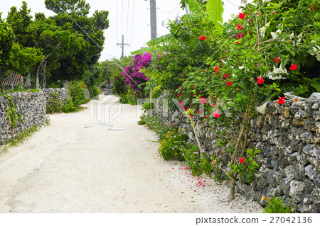 Okinawa Prefecture _ Taketomi-jima Okinawa Prefecture _ Taketomi-jima 27042136