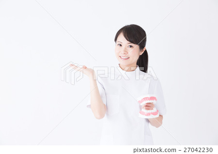 Dental hygienist  27042230