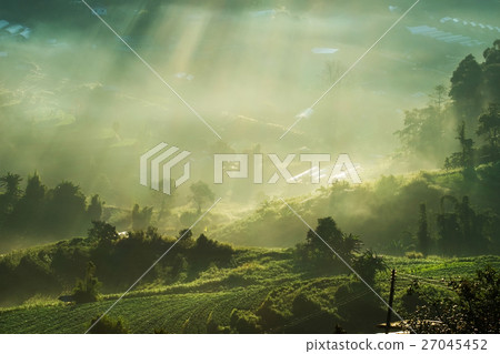 rays of the sun breaking through the fog 27045452