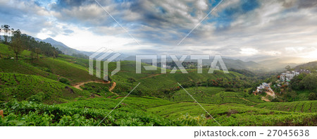 Panoramic view in Munnar, Kerala, India 27045638