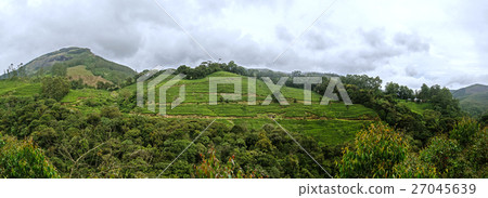 Panoramic view in Munnar, Kerala, India 27045639
