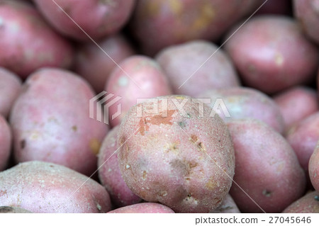 Organic Fruit and vegetables 27045646