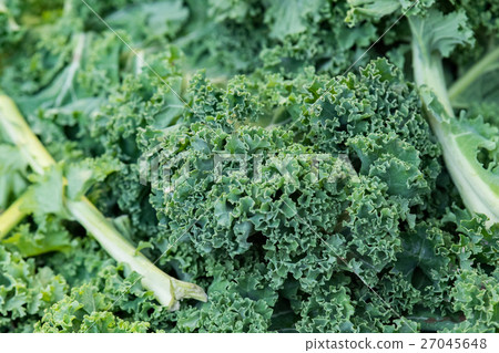 kale salad at the market 27045648
