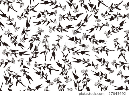 Buckwheat soba pattern pattern - Stock Illustration [27045692] - PIXTA