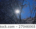 Christmas landscape 27046068