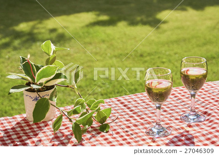 Cheers garden party with wine 27046309