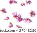 Flowers of Himalayan Yukinoshita 27048280