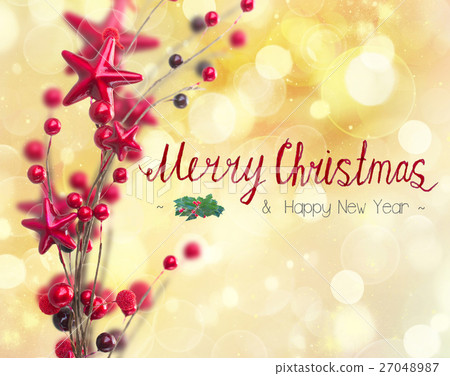 branch of christmas stars and berries  27048987
