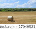 Cotton rolls 27049521