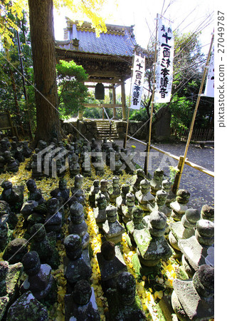 Kamakura Sugimotoji 27049787