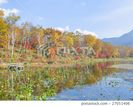 Autumn leaves of Shiga Kogen highland lotus pond 27051406