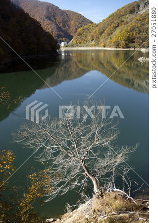 Sasuigawa水庫的秋葉 27051880