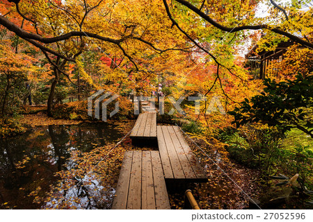 Tenju-an Temple with autumn garden, Kyoto Tenju-an Temple with autumn garden, Kyoto 27052596