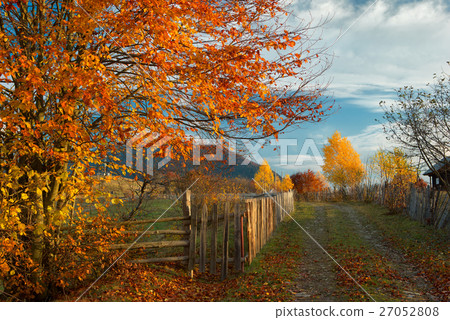Autumn in the Carpathian mountains 27052808