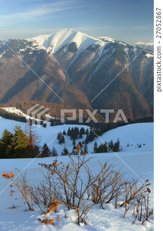 Carpathian mountains 27052867