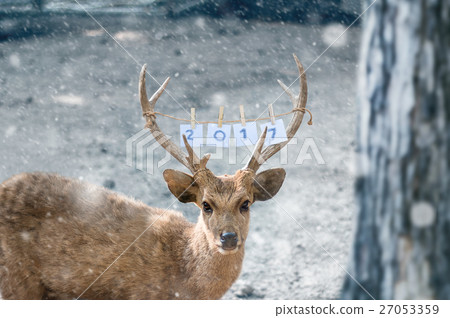 Deer with new year 2017 paper on antler with snow 27053359