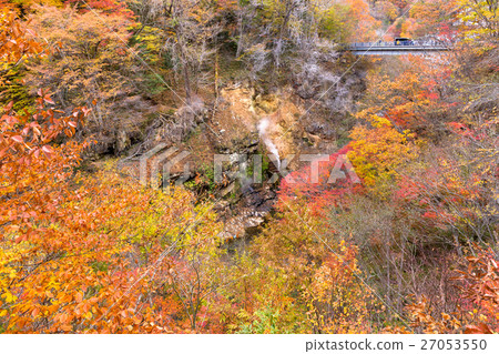 從栃木縣的日光市川田間歇泉（11月） 27053550
