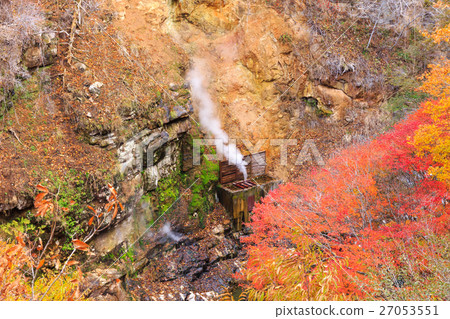 從栃木縣的日光市川田間歇泉（11月） 27053551