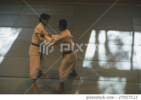 judo, martial arts, person 27057513
