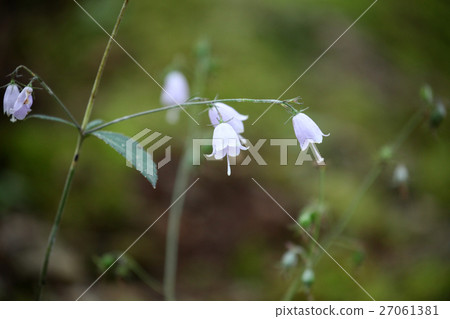 Tuliganinjin Tuliganinjin 27061381