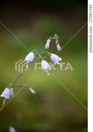 Tuliganinjin 27061382