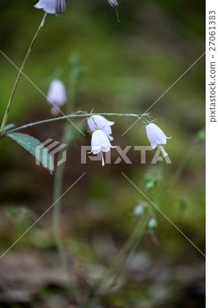 Tuliganinjin Tuliganinjin 27061383