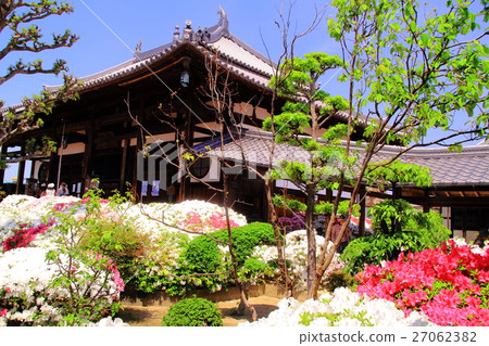 杜鵑花盛開在Nogeji寺(大阪市Sak市) 杜鵑花盛開在Nogeji寺(大阪市Sak市) 27062382