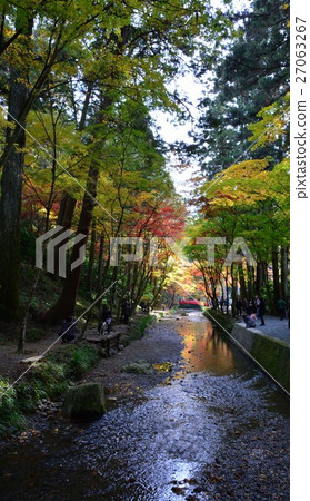 Fall of Oguni Shrine in an autumn Ancient forest 27063267