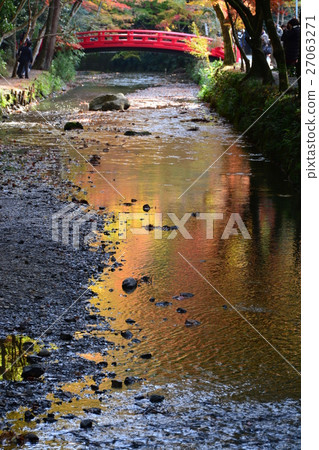 Fall of Oguni Shrine in an autumn Ancient forest 27063271