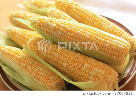 剛煮熟的玉米 27064831