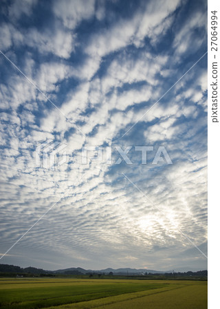 High cumulus sky 27064994