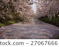Hirosaki castle flower raft 27067666