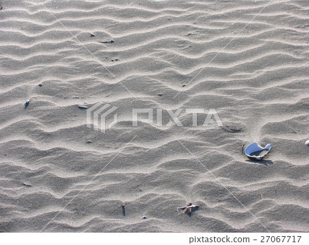 Seashell of beach and seashell Seashell of beach and seashell 27067717
